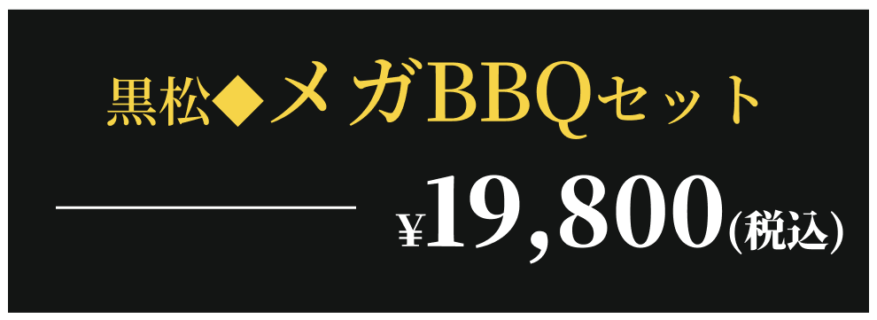 ワンランク上のメガBBQセット